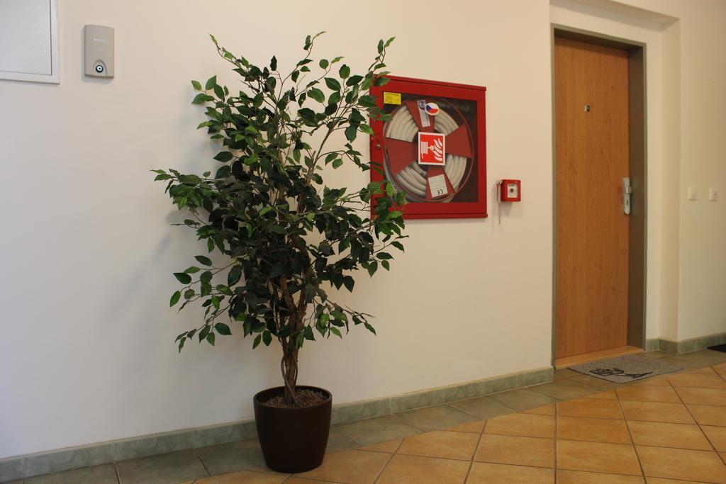 Apartment Promenada Poděbrady Extérieur photo
