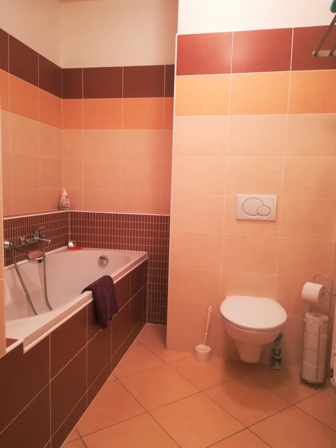 Apartment Promenada Poděbrady Extérieur photo